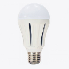Ampoules bulbe à led 10 W